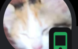 GETTING HARDEST WOOPINGS